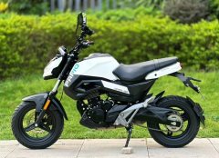 CFMOTO ST Baboon 125 cc - photo 6