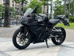Kayo 250RR Thornbird - ფოტო 3