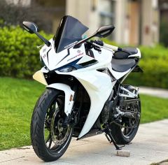 Kayo 250RR Thornbird - ფოტო 3