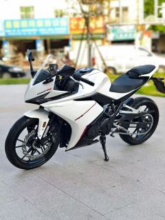 Kayo 250RR Thornbird - ფოტო 3