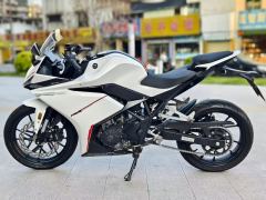 Kayo 250RR Thornbird - ფოტო 6