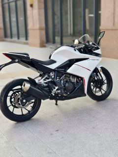 Kayo 250RR Thornbird - ფოტო 7