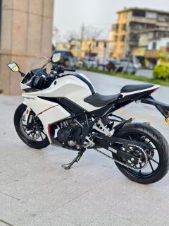 Kayo 250RR Thornbird - ფოტო 9
