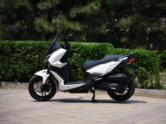 Xiaxinsanyang Joymax F 300 - ფოტო 3