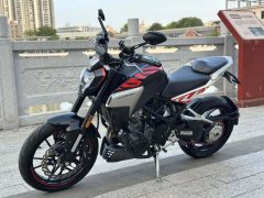Kayo Cobra 321R 320 cc - ფოტო 4