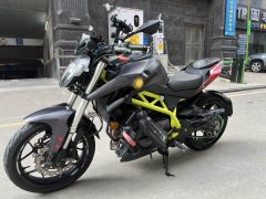 QJMOTOR Chase 350 - фото 11