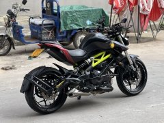 QJMOTOR Chase 350 - фото 4