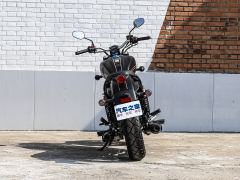 Cyclone RA401 400 cc - photo 7