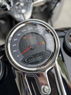 Harley-Davidson Fat Boy 1860 cc - ფოტო 11