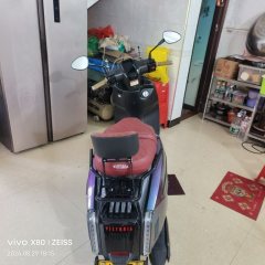 Weiduoliya Sixties 150i - ფოტო 3