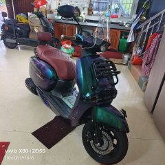 Weiduoliya Sixties 150i - ფოტო 5