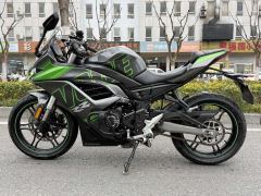Voge 250RR - ფოტო 1