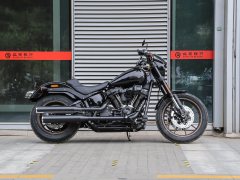 Harley-Davidson Low Rider S 1923 cc - ფოტო 5