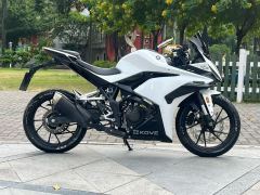 Kayo 250RR Thornbird - ფოტო 4