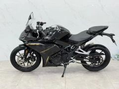 Kayo 250RR Thornbird - photo 2