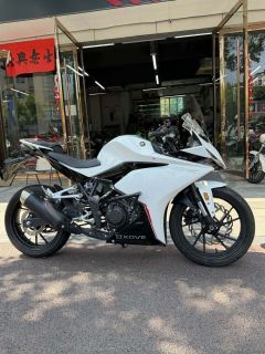 Kayo 250RR Thornbird - photo 3