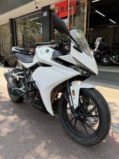Kayo 250RR Thornbird - photo 4