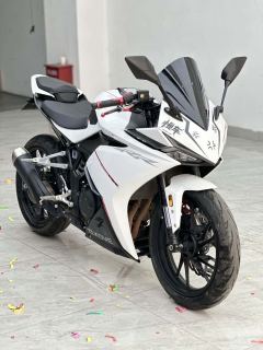 Kayo 250RR Thornbird - ფოტო 1