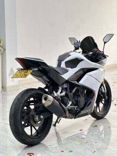 Kayo 250RR Thornbird - ფოტო 3