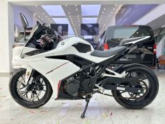 Kayo 250RR Thornbird - ფოტო 6