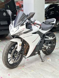 Kayo 250RR Thornbird - ფოტო 9