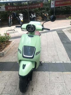 Moxiao British Marsha 150TCS - ფოტო 2