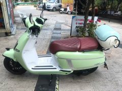 Moxiao British Marsha 150TCS - ფოტო 3