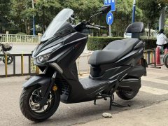 QJMOTOR Hong 250 - фото 6