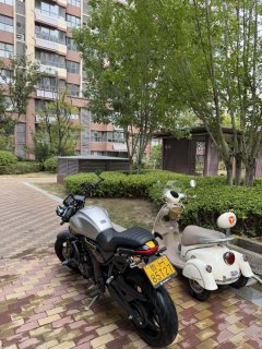 Voge AC525 500 cc - фото 2