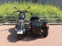 QJMOTOR 350+ - photo 7