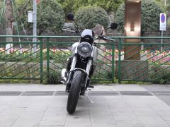 Cyclone RE600 560 cc - фото 2