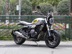 Cyclone RE600 560 cc - фото 3
