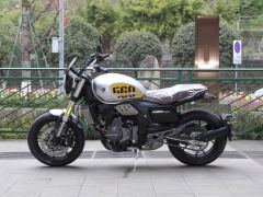 Cyclone RE600 560 cc - фото 4