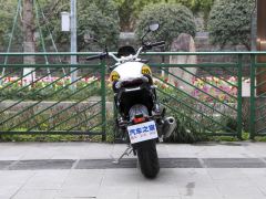 Cyclone RE600 560 cc - фото 7