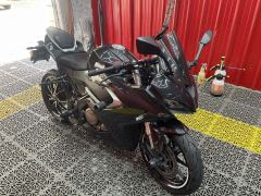 QJMOTOR SRK 250 - фото 2