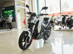 Benelli Xunlong BN150S - фото 9