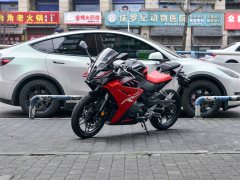 Cyclone RC250 - ფოტო 1
