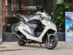 Sundiro Honda EX125 - ფოტო 11