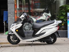 Sundiro Honda EX125 - ფოტო 12