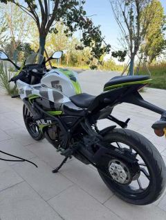 QJMOTOR SRK 250 - photo 3