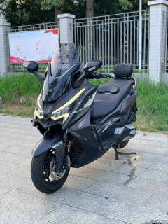 Ariic 318GT 350 cc - ფოტო 7