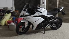 Kayo 250RR Thornbird - ფოტო 1