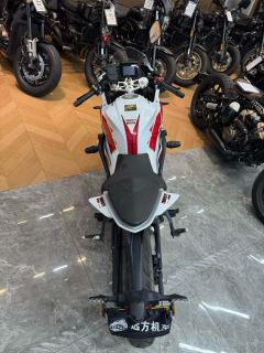 QJMOTOR SRK 250 - ფოტო 12