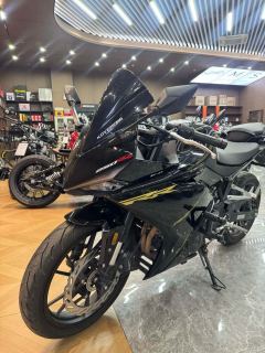 Kayo 250RR Thornbird - ფოტო 1