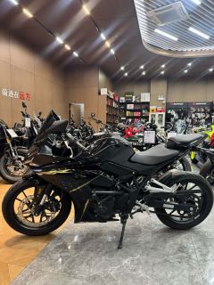 Kayo 250RR Thornbird - ფოტო 2