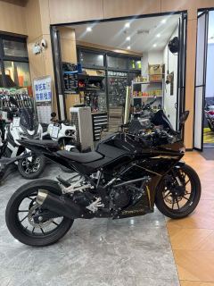 Kayo 250RR Thornbird - ფოტო 3