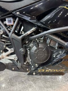 Kayo 250RR Thornbird - ფოტო 9