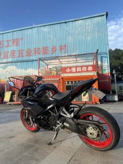 Kayo 321RR 320 cc - ფოტო 2