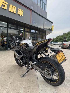 Voge 250RR - ფოტო 3