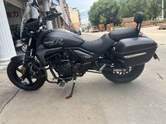 Haojue TR300 - ფოტო 6